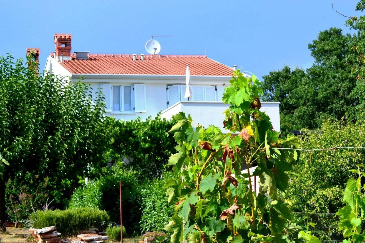 App Segi Διαμέρισμα Novigrad Istria Εξωτερικό φωτογραφία